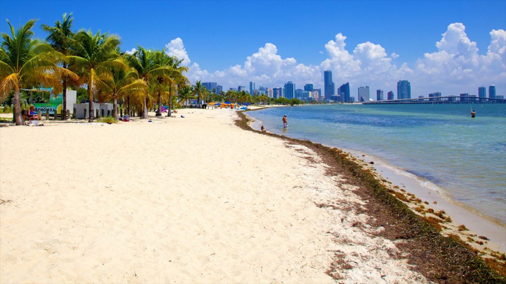 Virginia Key Beach