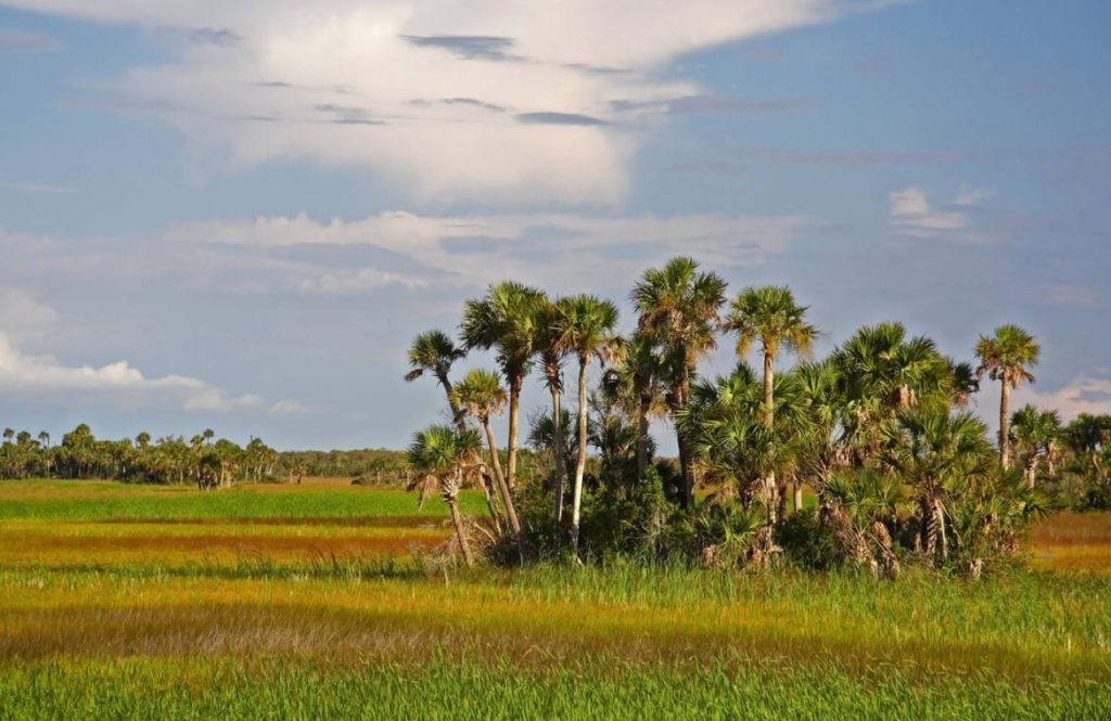 Everglades Preserve