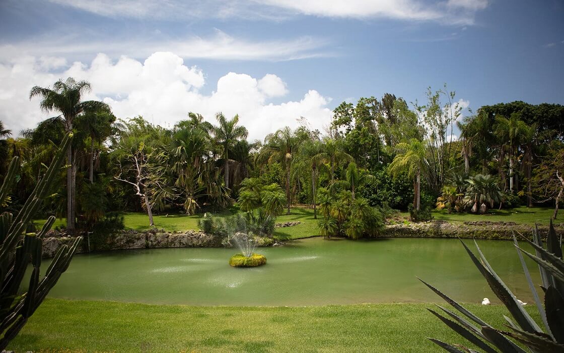 Wild and beautiful nature in Miami