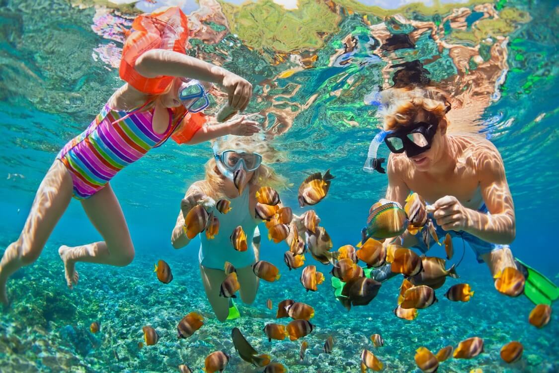 Snorkeling in Miami — Florida water activities
