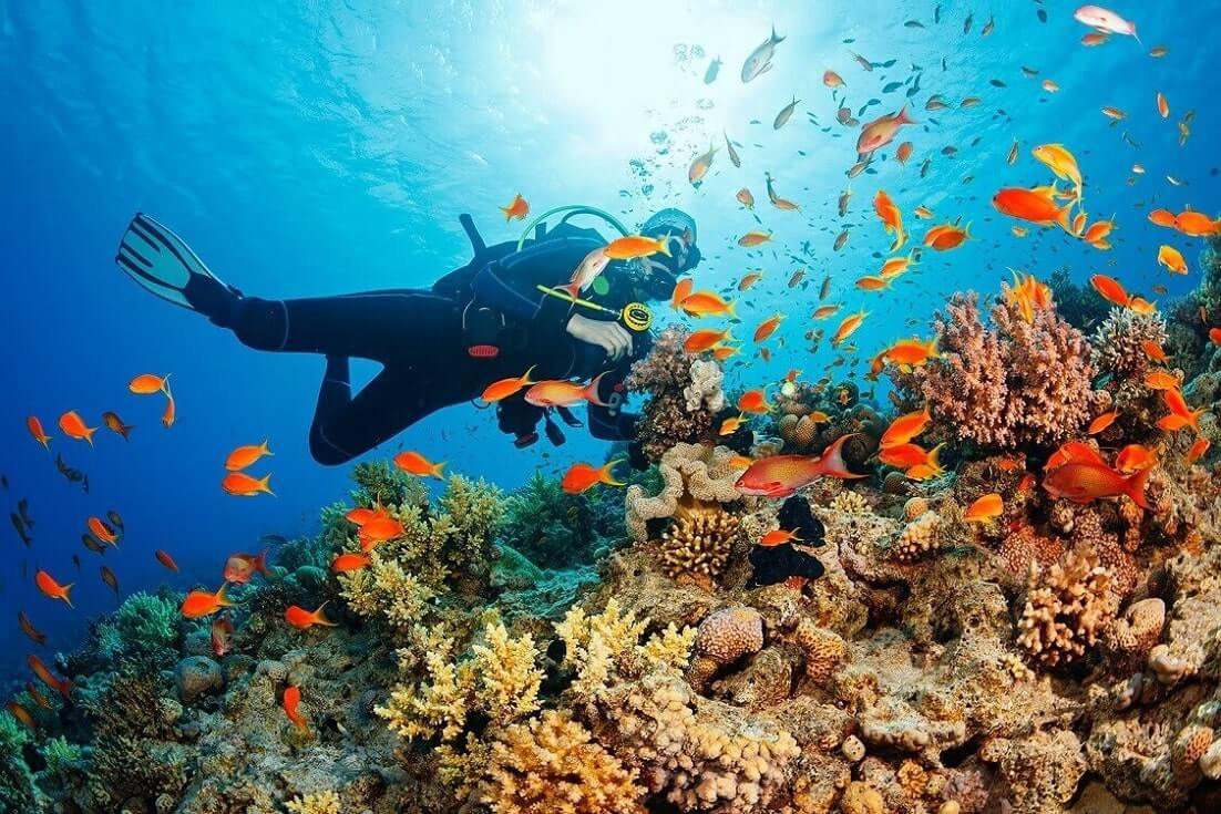 The best places for diving