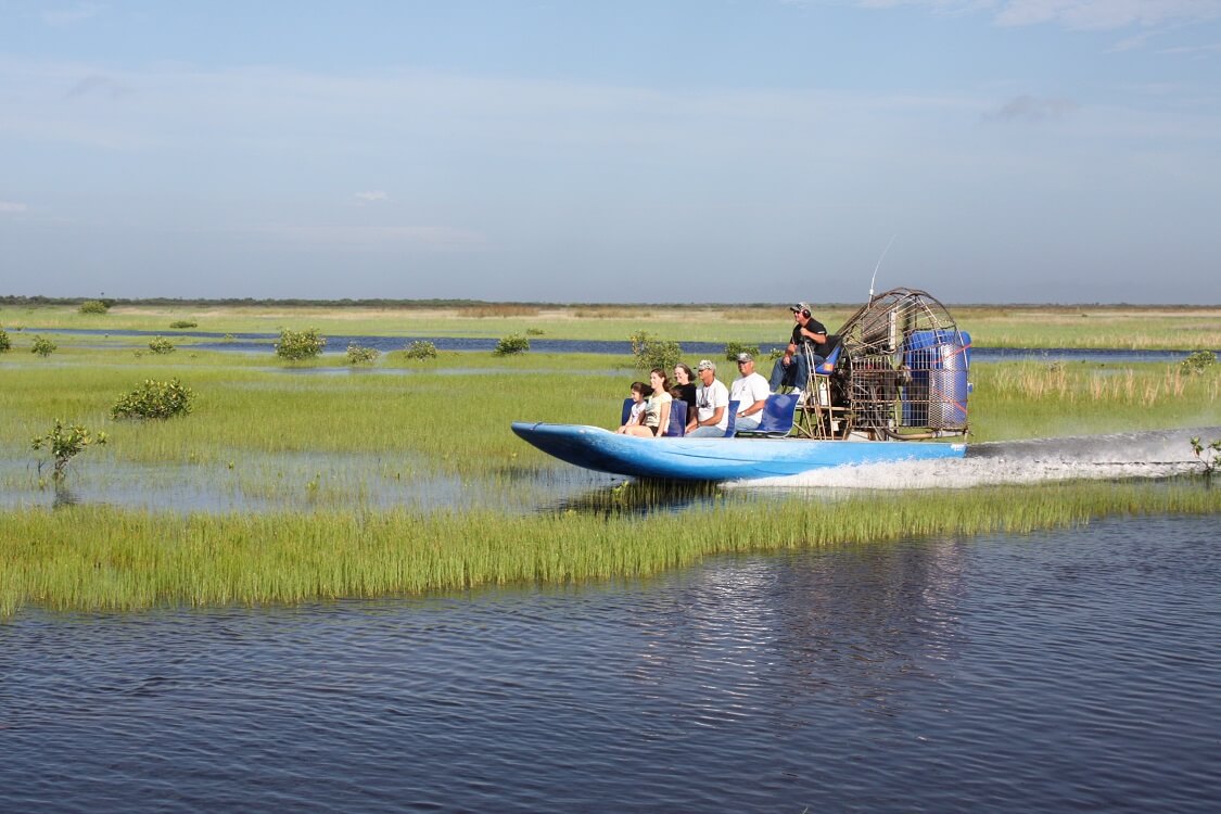 Florida Everglades airboat adventure and wildlife encounter