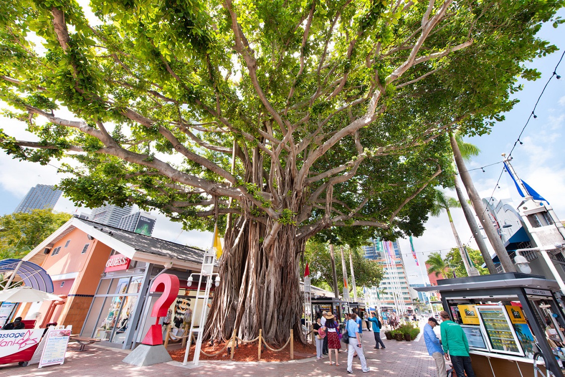 Go on a shopping spree at Bayside Marketplace — Miami Downtown things to do