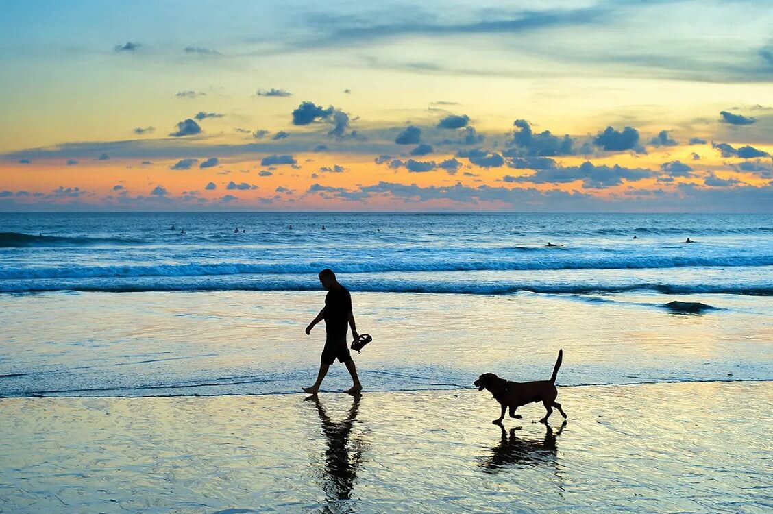 Haulover Beach Park — Dog friendly beaches in Miami