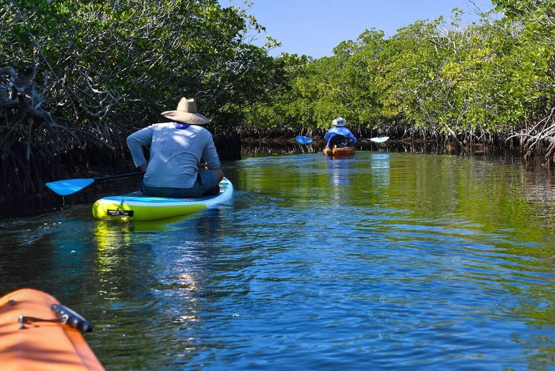 Key Biscayne Kayaking or Paddleboarding — Things to do in Key Biscayne Miami