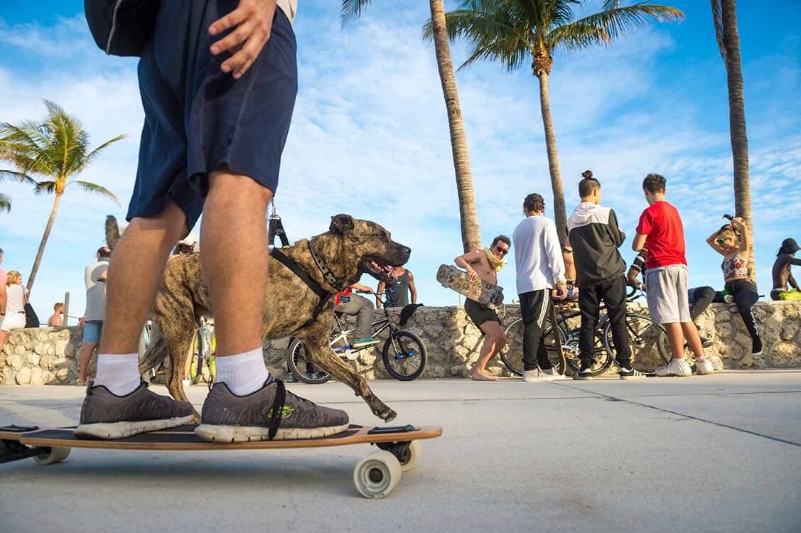 Skateboarding — Outdoor Miami activities