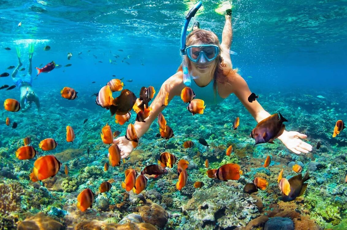 Fun activities for adults in South Florida — Snorkeling and Scuba Diving