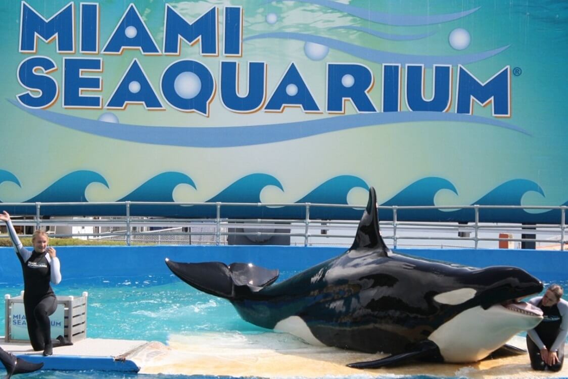 Spend a day at the Miami Seaquarium — Kids activities Miami