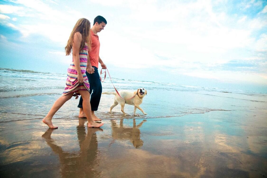 Virginia Key Beach — dog friendly beaches in Miami Fl