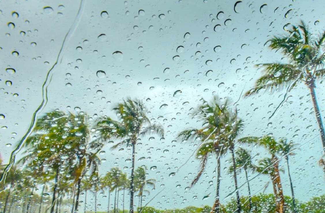 What to do in Miami when it rains — 15 things to do