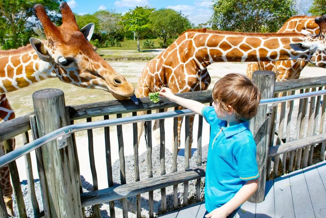 Things for kids to do in Miami — Top 15 fun activities