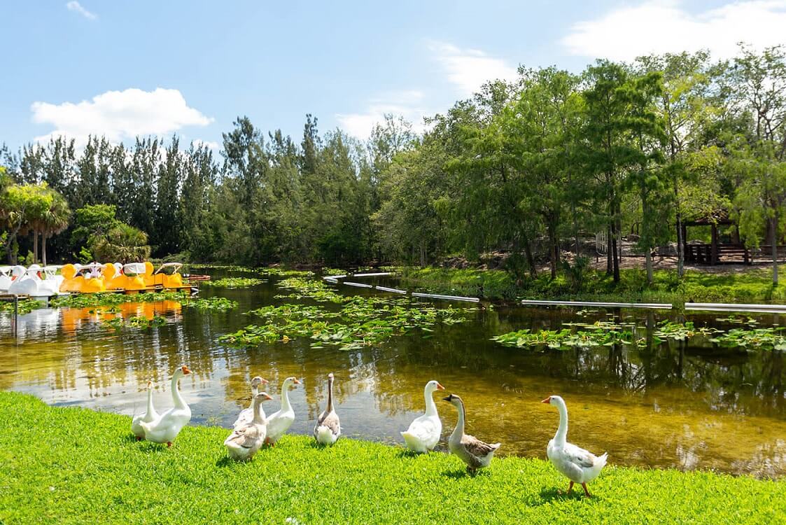 Amelia Earhart Park — Romantic parks in Miami