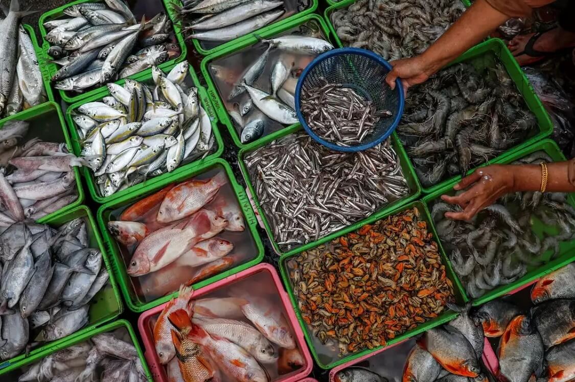 Captain's Fresh Seafood Market — Where can i buy fresh fish near me?