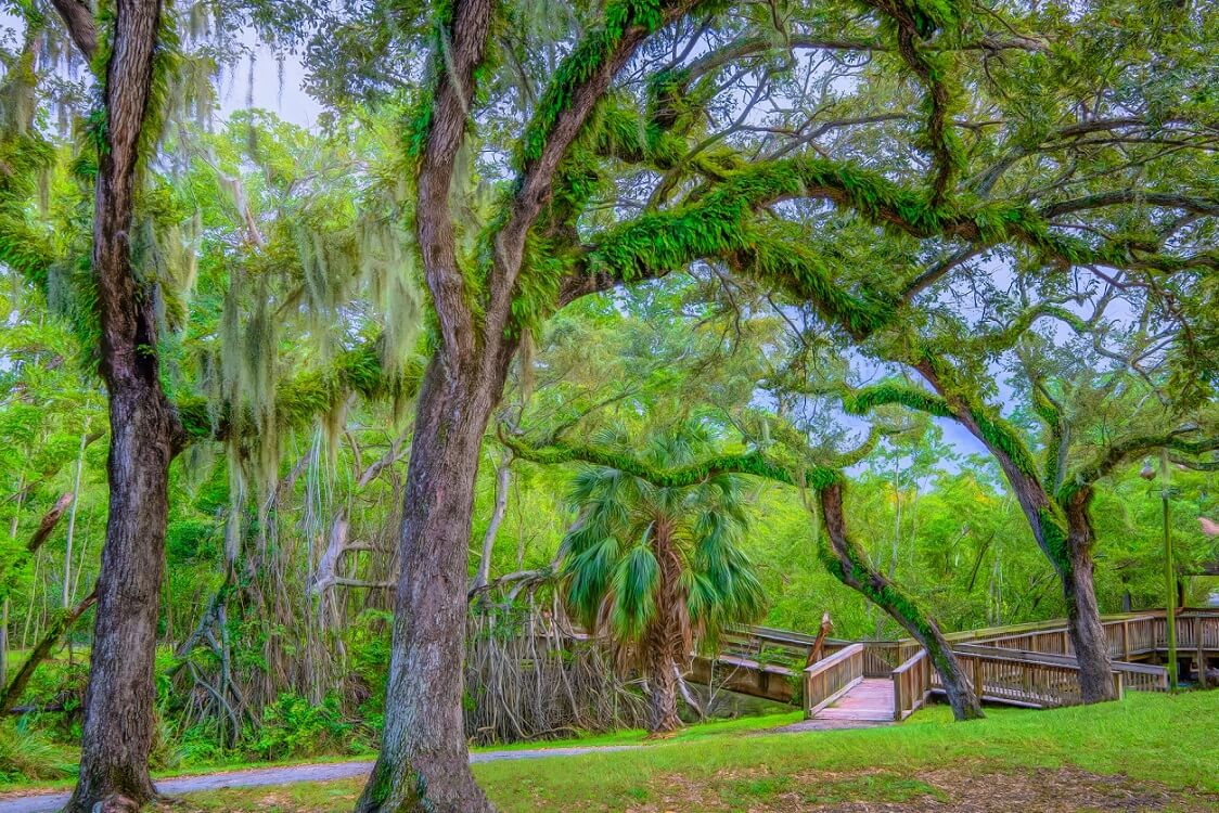Enchanted Forest Elaine Gordon Park — Things to do in North Miami