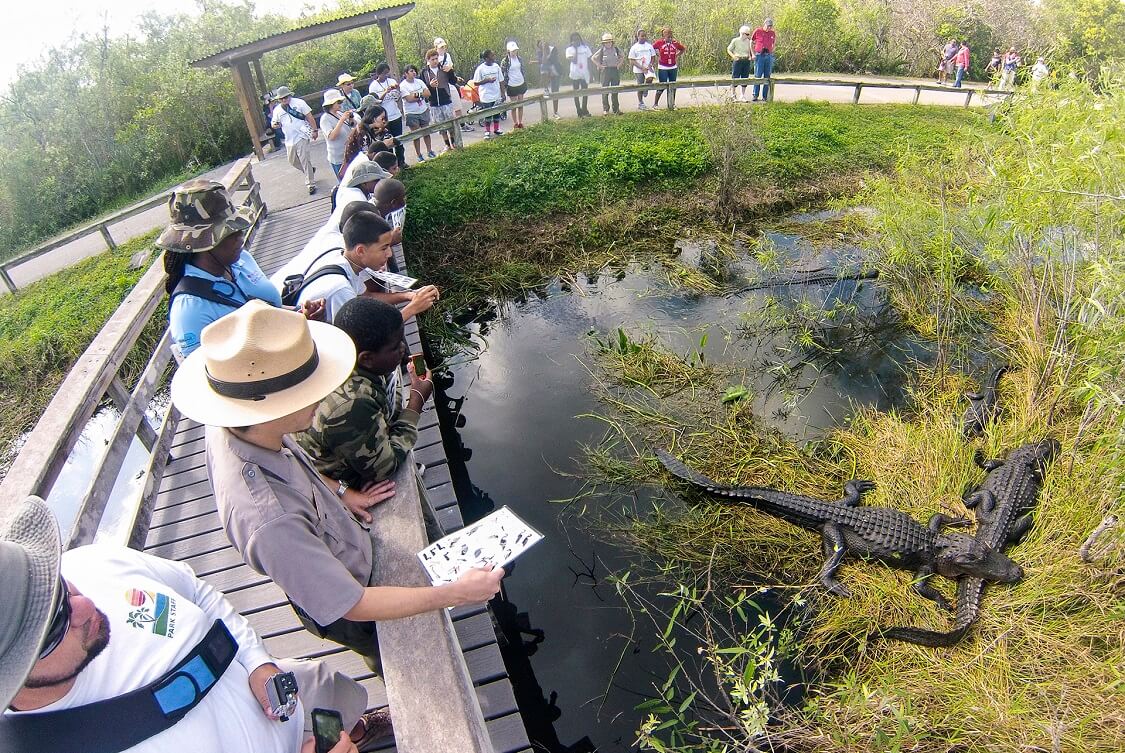 Everglades National Park — Interesting facts about Miami Florida