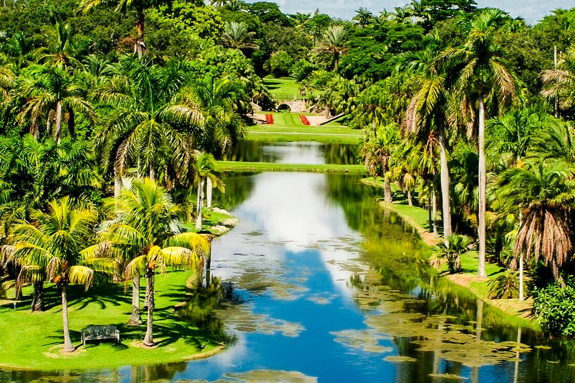 Fairchild Tropical Botanic Garden — What to do in South Miami