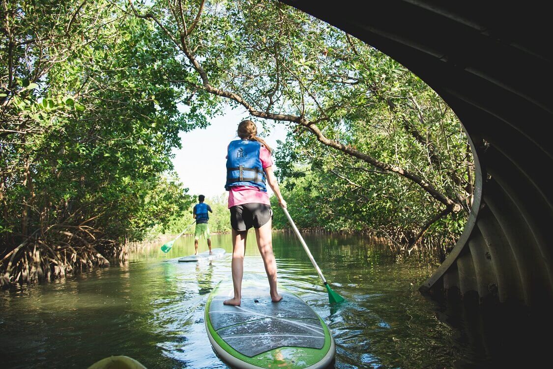 Go kayaking at Oleta River State Park — Free things to do in Kendall