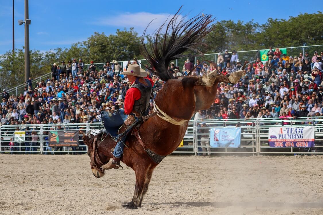Homestead Rodeo — Things to do in Homestead Fl today