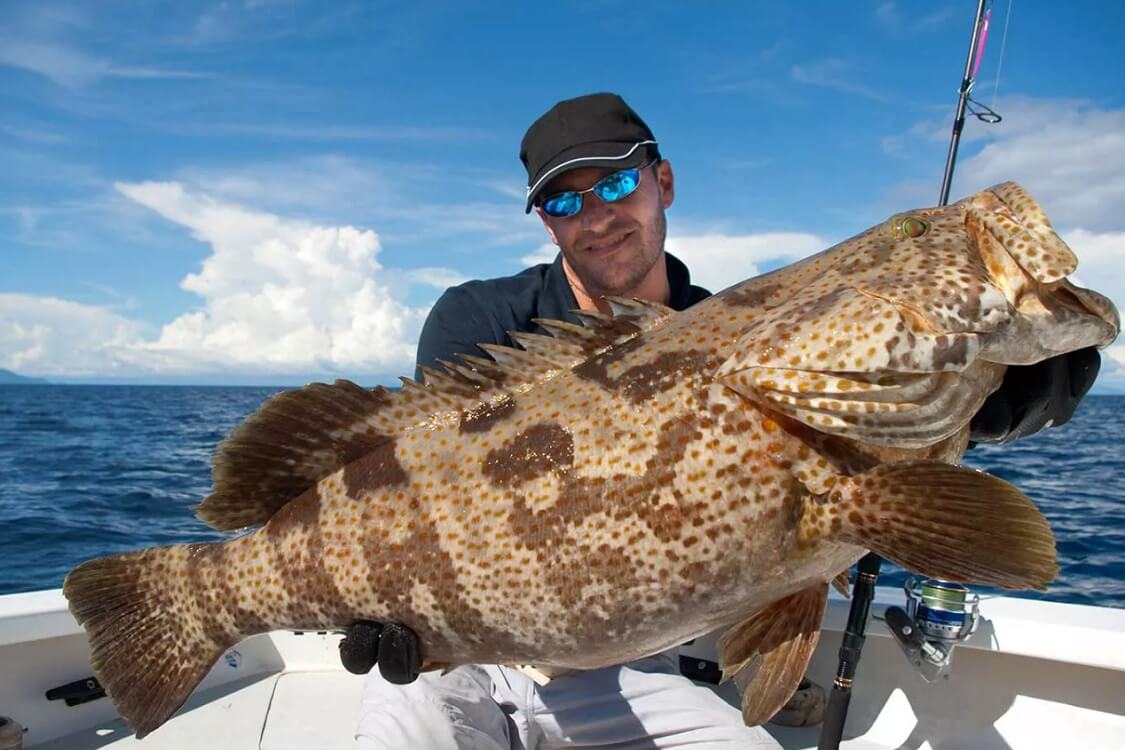 Miami Inshore Fishing Charters — Public places to fish near me