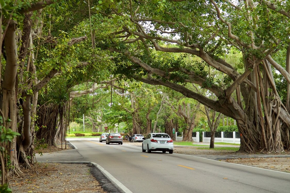 Old Cutler Trail — Fun things to do in South Miami