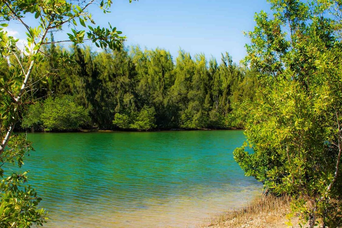 Oleta River State Park — Beautiful parks in Miami