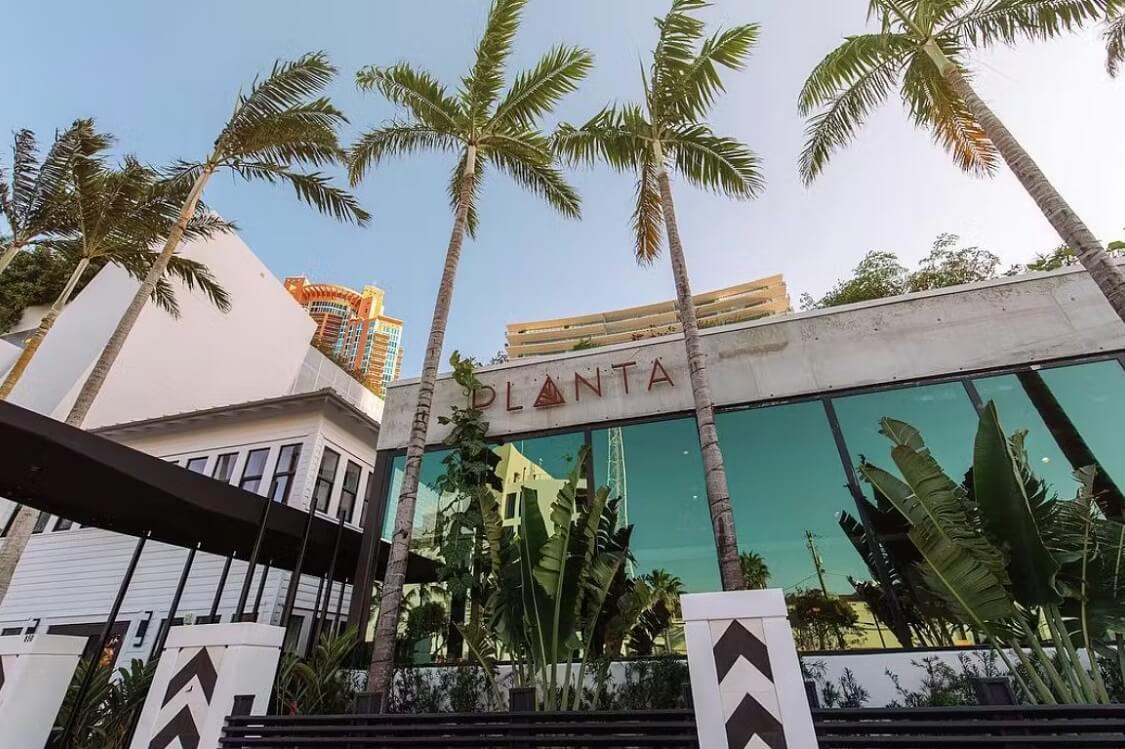 Planta — Bottomless brunch Miami Beach