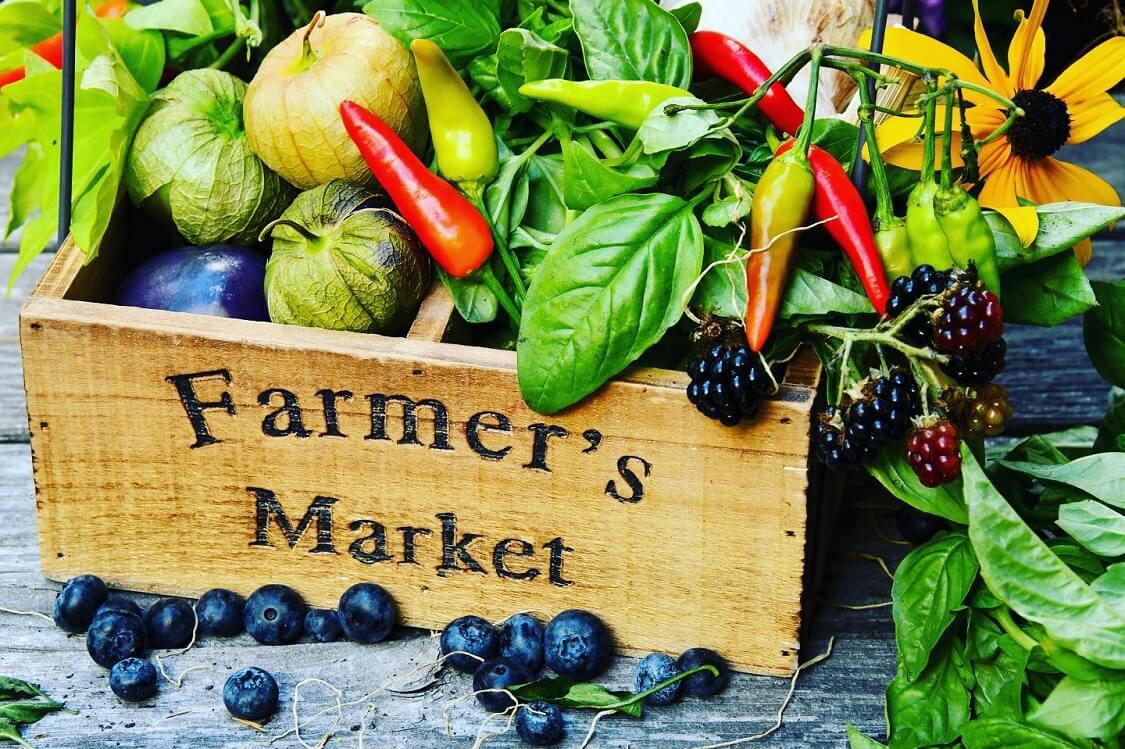 Tallahassee Farmers' Market — Florida fresh markets