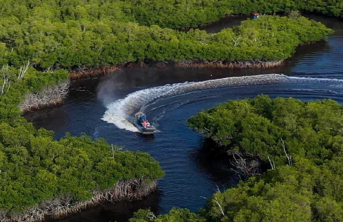 Top 15 Best Everglades Airboat Tours — Review