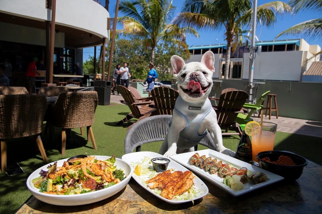 Monty's Raw Bar — Miami dog-friendly restaurants
